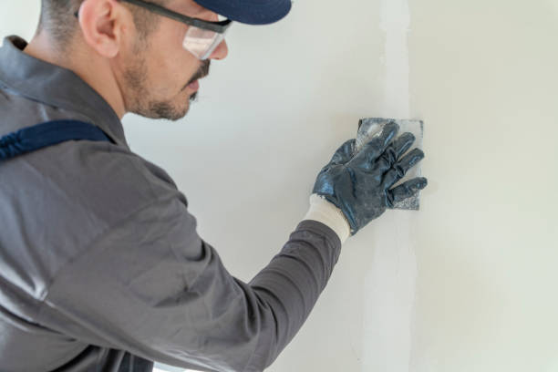 Best Eco-Friendly and Low-VOC Painting  in Green Oaks, IL